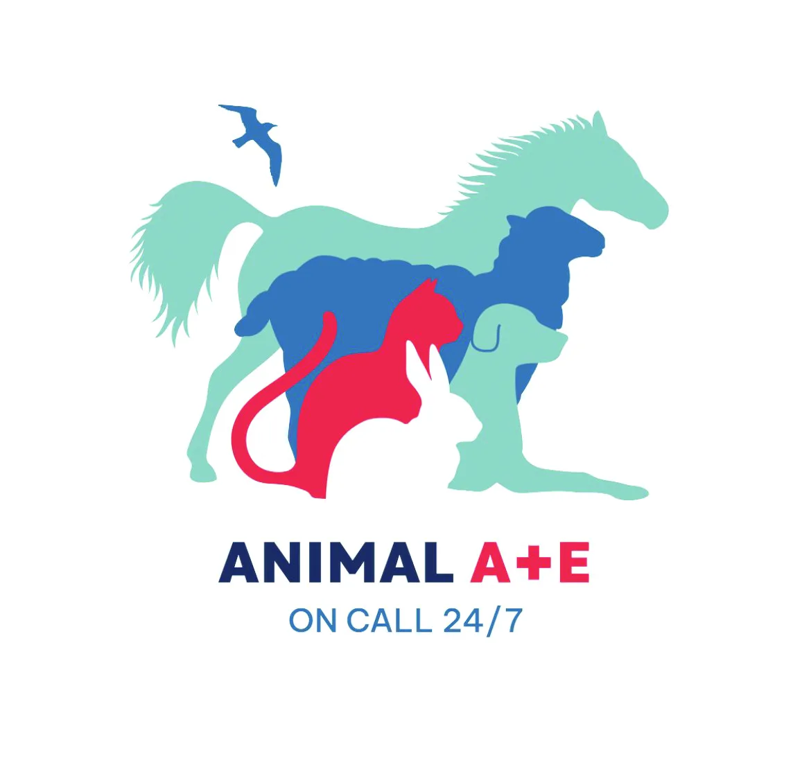 Animal A&E logo